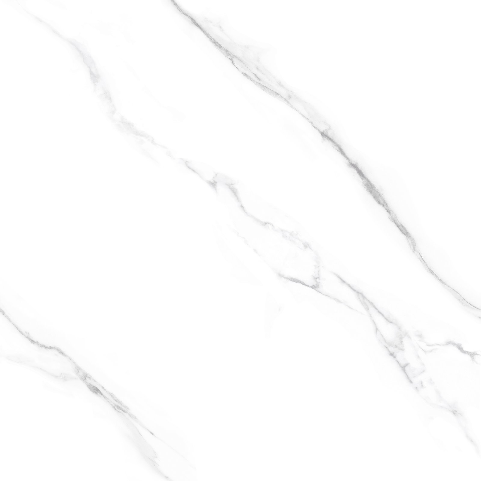 PLATINUM 50X50 LUXOR GREY REC